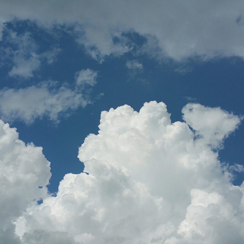 Meet your Posher, Heidi